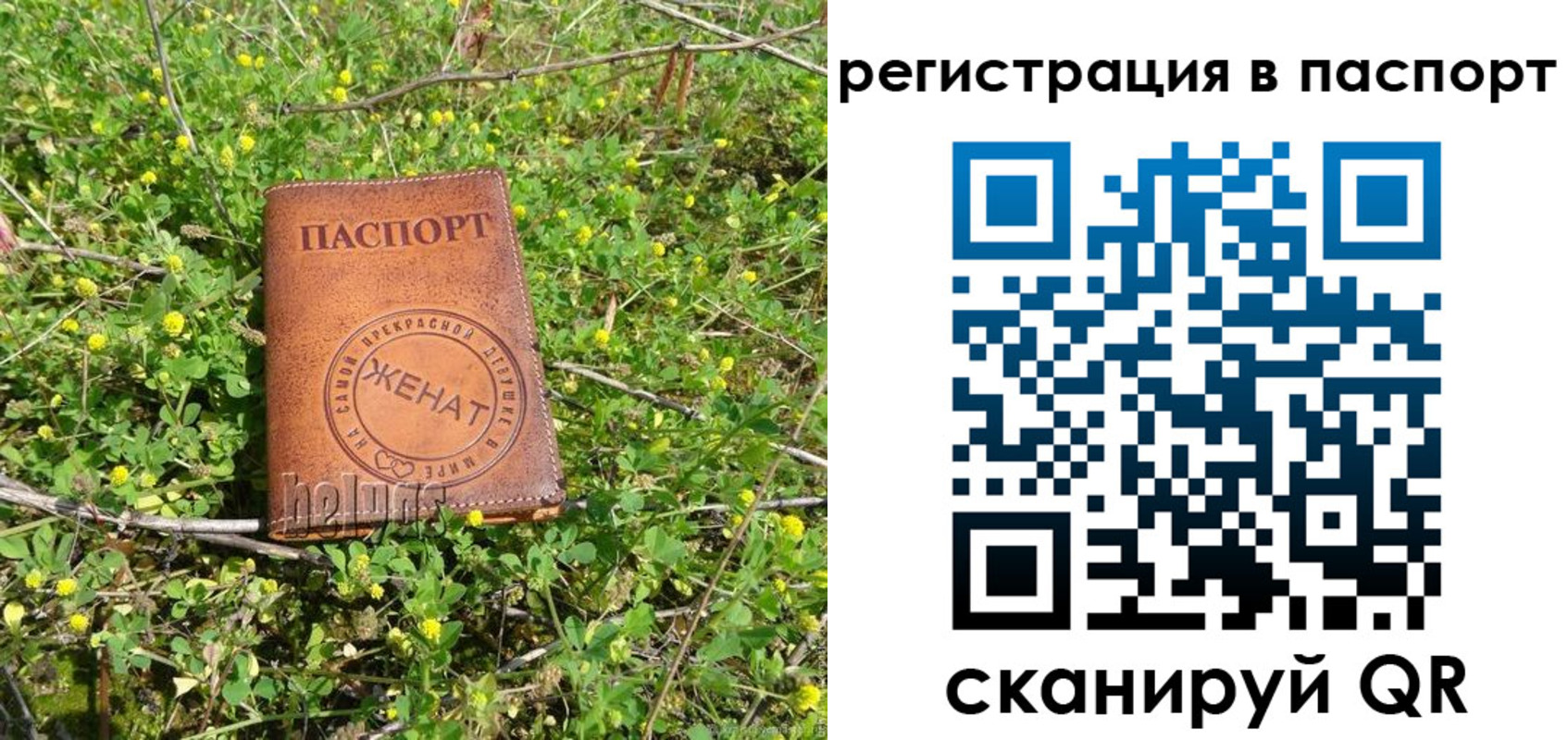 прописка законно в Волоколамске